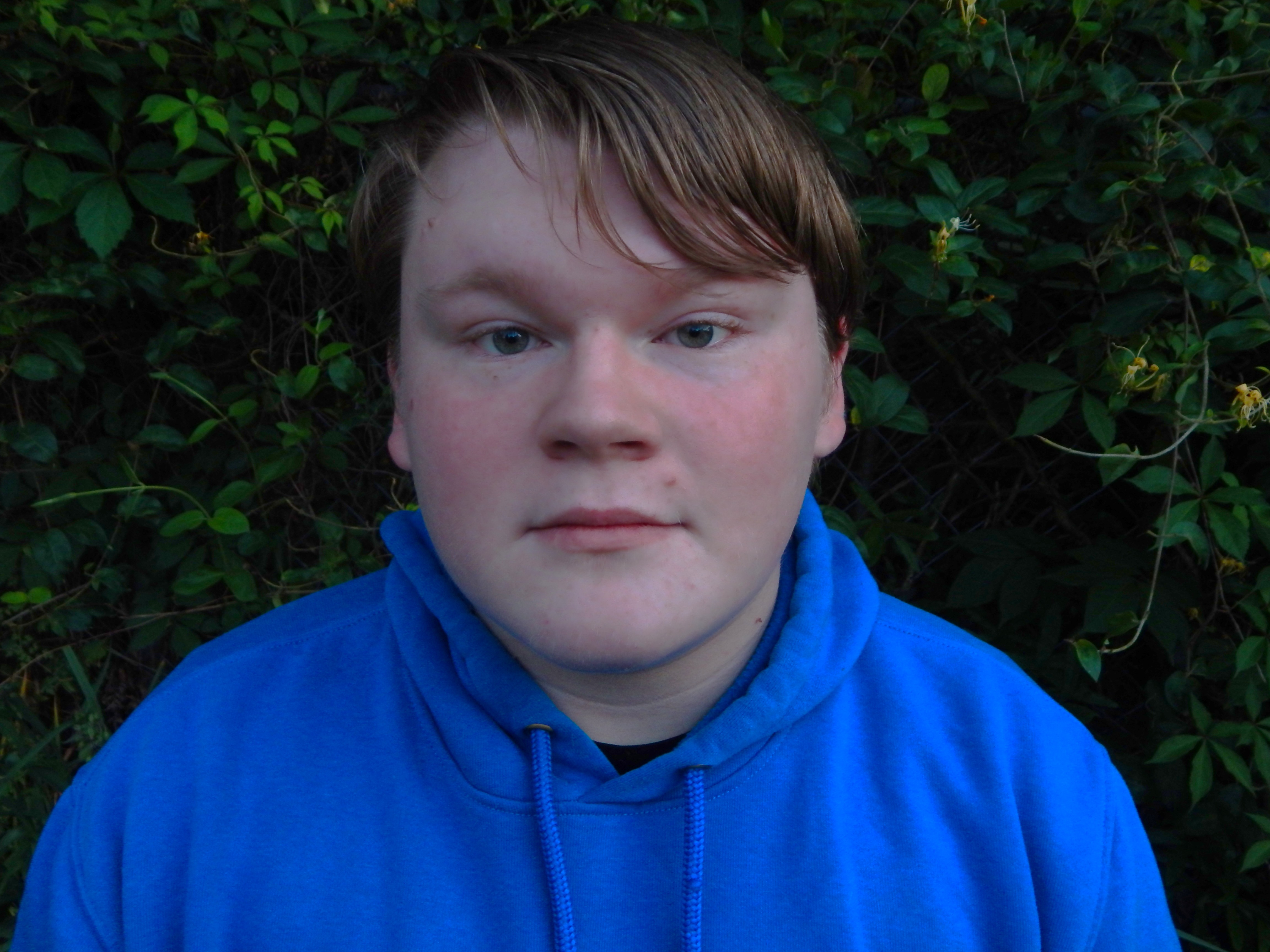 A picture of David Neff